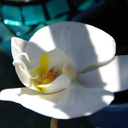 Vakantiehuis Terre De Glisse Saint-Jean-de-Luz