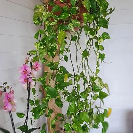 Terre De Glisse Vakantiehuis *