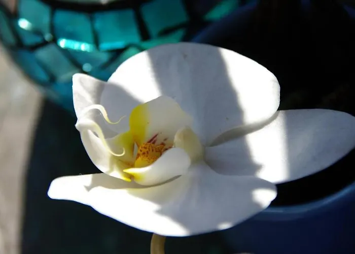 度假居 Terre De Glisse 圣让－德吕兹